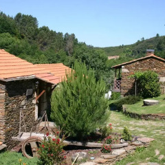 Отель Quinta Da Rabaçosa - Turismo Rural Кастро-Дайре фото 4