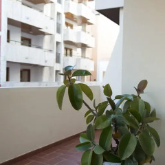 Отель Apartamentos Ripoll Ibiza интерьер отеля фото 2