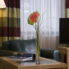 Отель Wyndham Grand Conference Center 4* Стандартный номер
