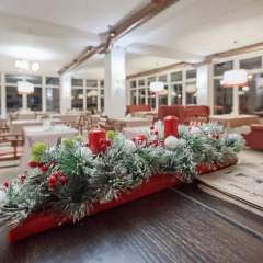 Гостиница РОМАНОВСКИЙ Отель & Детский Клуб в Красной Поляне отзывы, цены и фото номеров - забронировать гостиницу РОМАНОВСКИЙ Отель & Детский Клуб онлайн Красная Поляна гостиничный бар