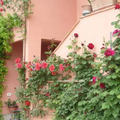Отель Milleglicini Casa Vacanze Сполето фото 3