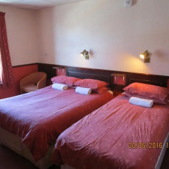 Отель Trentham Guest House комната для гостей фото 5
