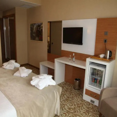 Elgarden Hotel & Residence Турция, Дербент - отзывы, цены и фото номеров - забронировать отель Elgarden Hotel & Residence онлайн удобства в номере фото 2
