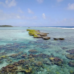 Отель Hôtel La Pirogue Api пляж фото 2