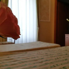 Hotel Flora 3* Стандартный номер фото 5