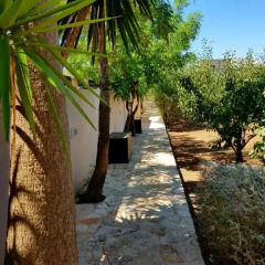 Отель B&B Masseria San Dana Гальяно дель Капо фото 12