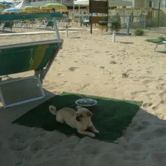 Отель Residence Costablu Италия, Римини - отзывы, цены и фото номеров - забронировать отель Residence Costablu онлайн приотельная территория фото 2