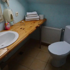 Отель Balta Puce 3* Стандартный номер с двуспальной кроватью фото 14