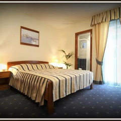 Hotel Rosina 4* Стандартный номер с различными типами кроватей фото 2