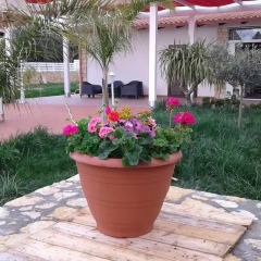 Отель Apollonion Country House Сиракуза приотельная территория