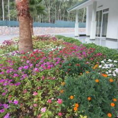 Green Forest Holiday Village Турция, Олудениз - отзывы, цены и фото номеров - забронировать отель Green Forest Holiday Village - All Inclusive онлайн фото 7