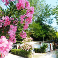 Отель Camping Village Costa Verde Потенца-Пичена