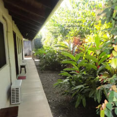 Отель Cabinas Tropicales Puerto Jimenez 3* Номер категории Эконом фото 3