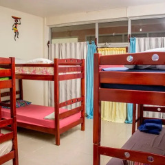 Alemán Tours & Hostel Кровать в мужском общем номере с двухъярусной кроватью