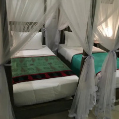 Отель Khalids Guest House Galle 3* Стандартный номер с различными типами кроватей
