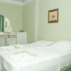 Boryana Hotel комната для гостей фото 2