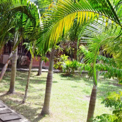 Отель Lanta Naraya Resort Ланта фото 11