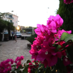 Отель Holiday Apartments Altini Албания, Ксамил - отзывы, цены и фото номеров - забронировать отель Holiday Apartments Altini онлайн фото 4