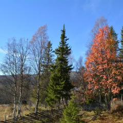 Отель Skjerdingen Høyfjellshotel фото 13