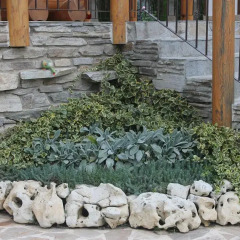 Отель Guesthouse Sianie Болгария, Тырговиште - отзывы, цены и фото номеров - забронировать отель Guesthouse Sianie онлайн фото 5