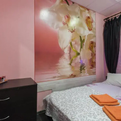 Mini-Hotel Na Beregah Nevy Номер категории Эконом с различными типами кроватей фото 7