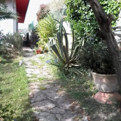 Отель Casa Rò Аулла фото 4