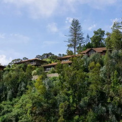 Отель Choupana Hills Resort & Spa Португалия, Фуншал - отзывы, цены и фото номеров - забронировать отель Choupana Hills Resort & Spa онлайн фото 3