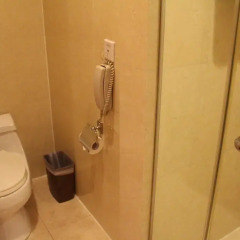 Metropark Hotel, Shenzhen Люкс повышенной комфортности фото 11