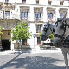 Отель TRYP Jerez Hotel Испания, Херес-де-ла-Фронтера - отзывы, цены и фото номеров - забронировать отель TRYP Jerez Hotel онлайн парковка