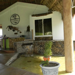 Hotel La Casa de Nery Луизиана Ceiba фото 10