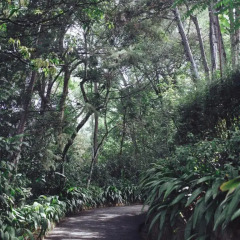 Отель Villa Republic Bandarawela 3* Вилла с различными типами кроватей фото 3