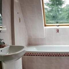 Отель Apartament Słoneczny Zakopane Косцелиско ванная