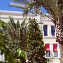 Отель The Westin Valencia 5* Номер Делюкс с разными типами кроватей