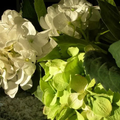 Hotel Crystal фото 2