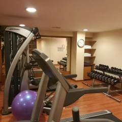 Rege Hotel Сан-Донато-Миланезе фитнесс-зал фото 3