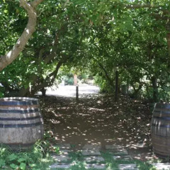 Отель Finca El Vergel Rural
