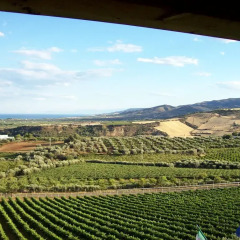 Отель Agriturismo La Collinetta Нова-Сири балкон