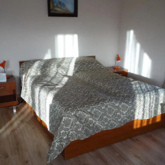 Гостиница Diana Guest House Стандартный номер разные типы кроватей фото 3