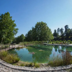 Отель Quinta do Minhoto бассейн фото 2