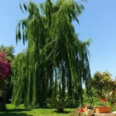 Отель La Casa Dei Sogni Сиракуза фото 4