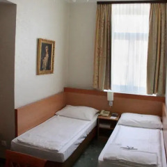 Boutique Hotel Donauwalzer 3* Номер Эконом с 2 отдельными кроватями фото 2