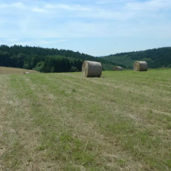 Отель Das Alte Forsthaus Гайзенхайм фото 2