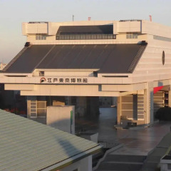 Pearl Hotel Ryogoku бассейн