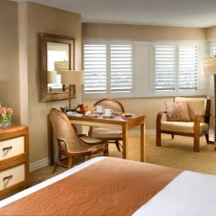 Tropicana Las Vegas - a DoubleTree by Hilton Hotel 4* Стандартный номер с различными типами кроватей фото 6