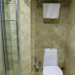 Отель Cron Palace Tbilisi 4* Стандартный номер фото 40