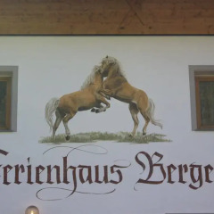Отель Ferienhaus Berger Сарентино с домашними животными