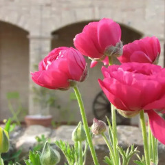 Отель Bed and breakfast Aratro & Rosmarino Номер Делюкс фото 6