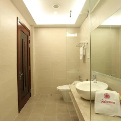 Valentine Hotel 3* Улучшенный номер с различными типами кроватей фото 3