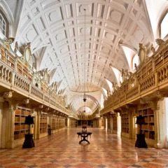 Отель Casa das Camélias развлечения