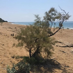 Отель Mayor Capo Di Corfu Сивота пляж